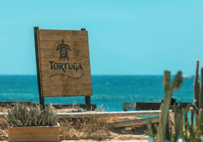 Tortuga Νάξος