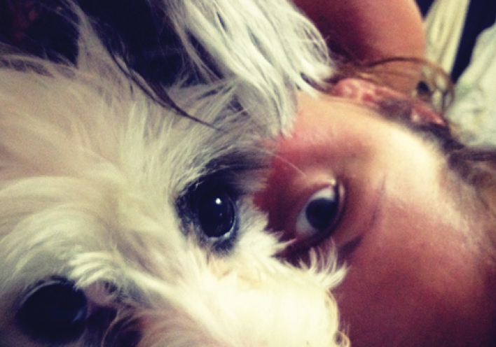 Αδέσποτες Ιστορίες