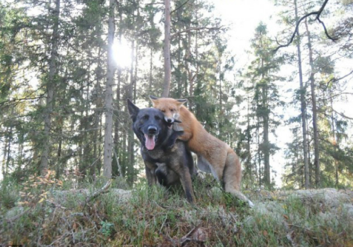 Υπέροχες φιλίες: Τίνι και Σνίφερ