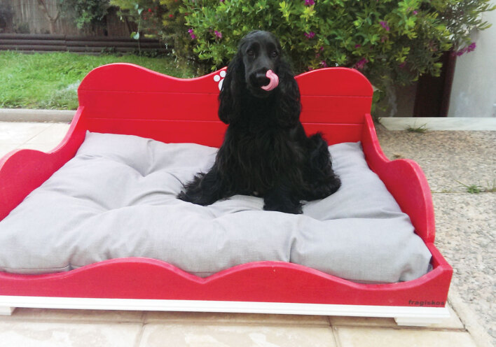 Παγκόσμια Ημέρα των Ζώων: Μάζεψε τα σκυλο-κακά τώρα