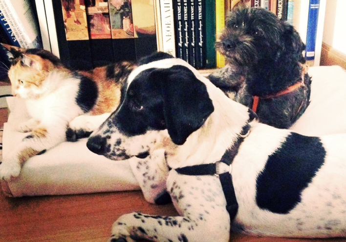 Σώστε ένα Μπούμπη 