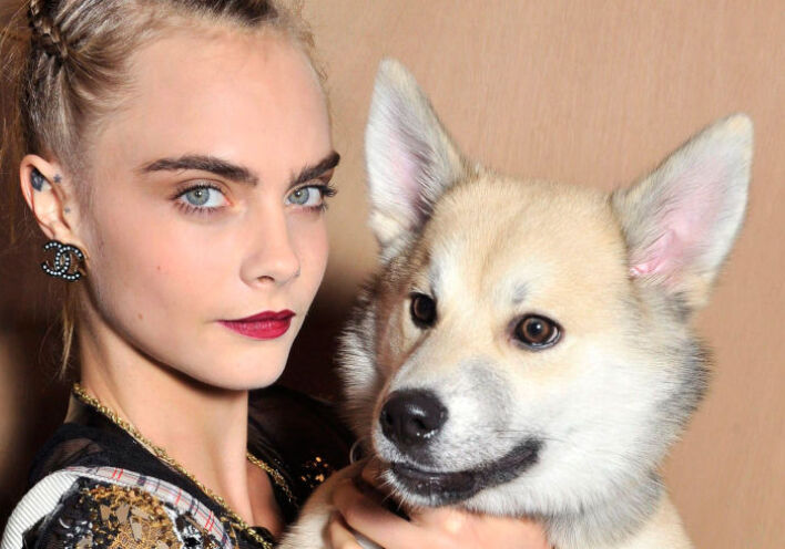 10 Διάσημα κατοικίδια και οι γονείς τους