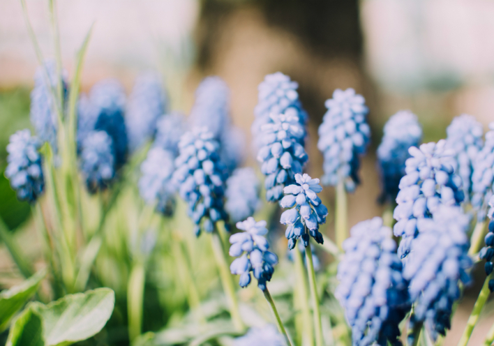 ΑΩ: Ένας οίκος με (πολλή) ποίηση