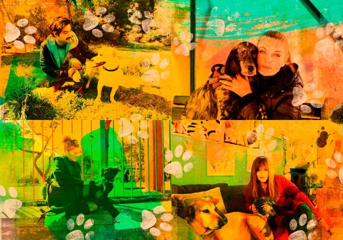 Αδέσποτη αγάπη