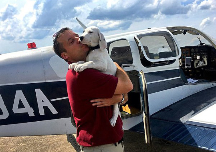 Ένας υπέροχος άνθρωπος. Διασχίζει τους αιθέρες για να σώσει τα αδέσποτα που κινδυνεύουν με ευθανασία (εικόνες, video) 