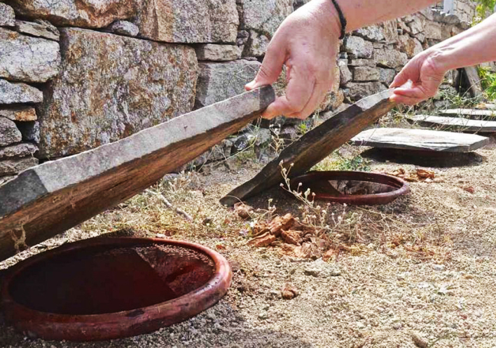 Οινοποιείο Αφιανές: Τα κρασιά της Ικαρίας, αυτά τα από πάντα «φυσικά» κρασιά