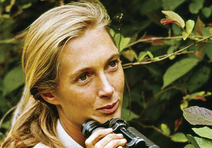 Τζέιν Γκούντολ: Μια συγκλονιστική γυναίκα και ένα ντοκιμαντέρ για να γίνουμε καλύτεροι άνθρωποι