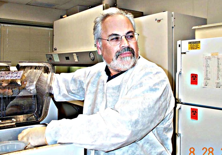 Γιώργος Παυλάκης 