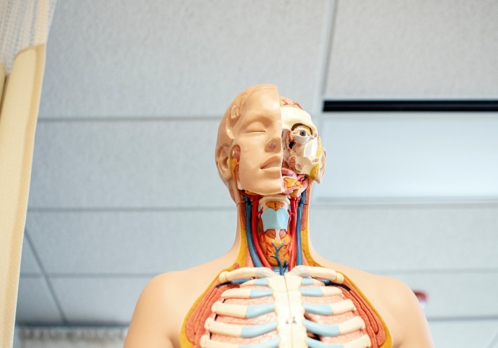 Παρασκευή Κατσαούνου: Γιατί οι καπνιστές είναι ευάλωτοι στον κορωνοϊό