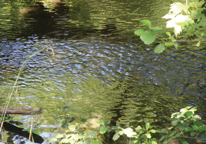 Ο Αχέροντας του Αλκίνοου Μπούκουρα