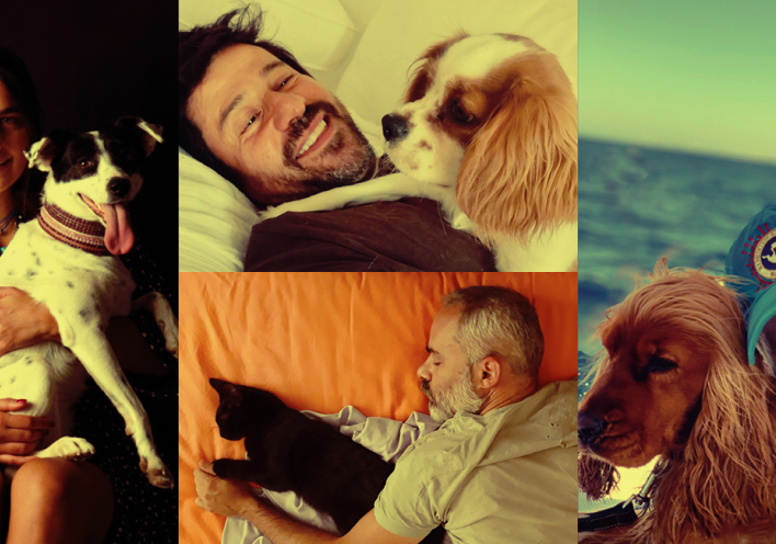 4 Αθηναίοι μιλούν για τα κατοικίδιά τους