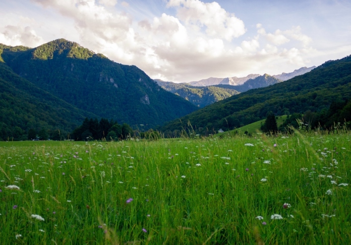 Επαναφορά της φύσης στη ζωή μας