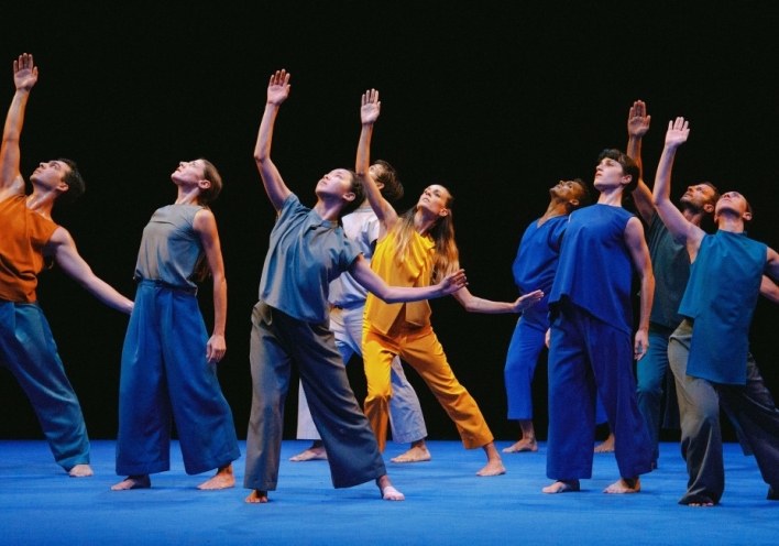 Human Behaviour, Plan B