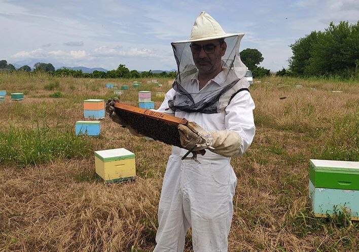 Έρχεται το τέλος των μελισσών; 
