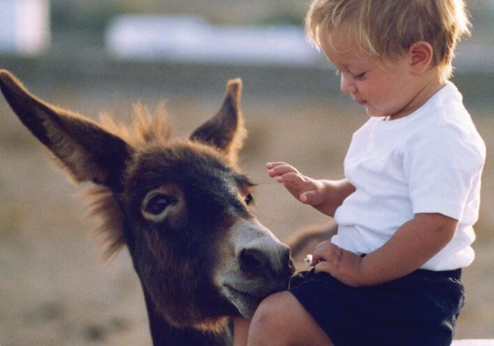 Ο Αρίων Σπυρίδης (Minas designs) 