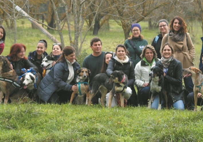 Από δραστηριότητα της Stray.gr το 2019.