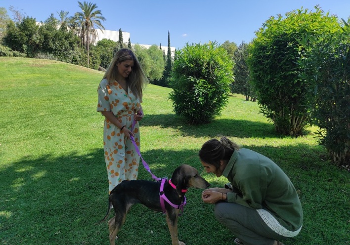 Παγκόσμια Ημέρα Ζώων: Δίνουμε φωνή στα δικαιώματα των ζώων