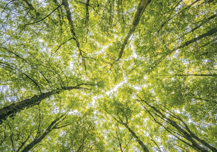 Η ανακύκλωση μπαταριών οχημάτων και βιομηχανίας είναι ευθύνη μας