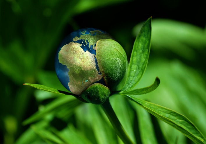 Έρευνα διαΝΕΟσις: Οι συνέπειες της Κλιματικής Αλλαγής στην Ελλάδα