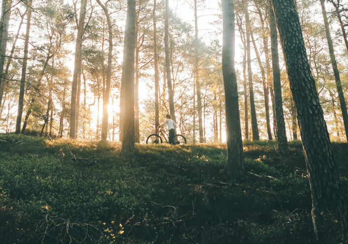 Δάσος και παιδί με ποδήλατο