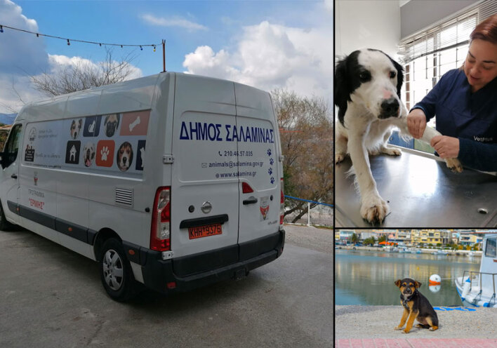 Το ασθενοφόρο για τα αδέσποτα ζώα συντροφιάς στη Σαλαμίνα