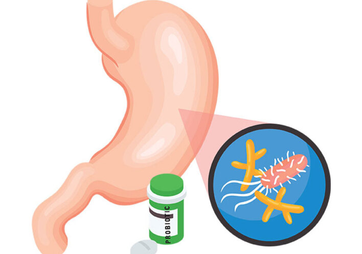 Εικονογράφηση που δείχνει το όργανο του σώματος στομάχι
