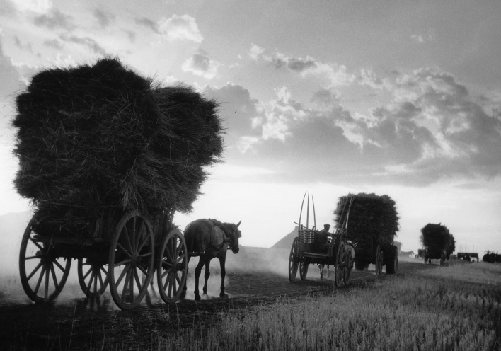 Τάκης Τλούπας