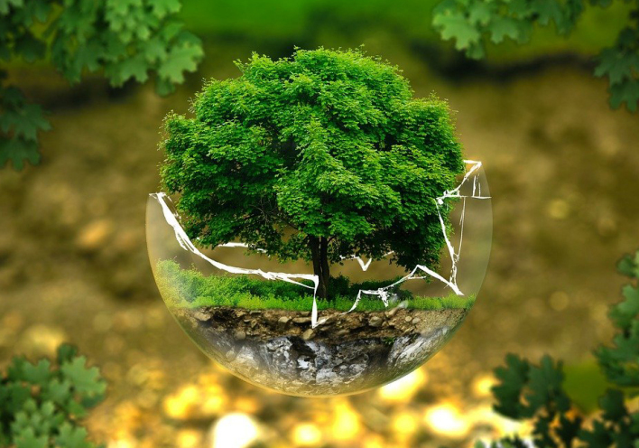 Φωτογραφία για την προστασία του περιβάλλοντος