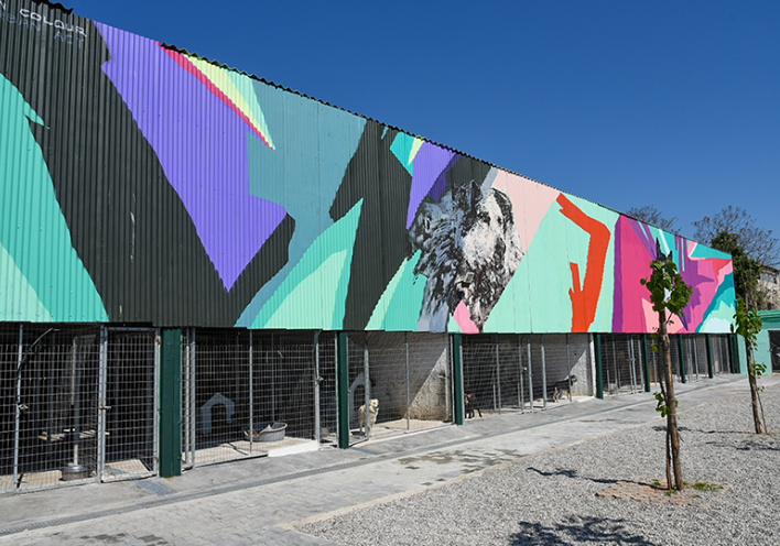 ΕΤΟΙΜΟ ΤΟ ΠΡΩΤΟ ΚΑΤΑΦΥΓΙΟ ΑΔΕΣΠΟΤΩΝ ΖΩΩΝ ΤΟΥ ΔΗΜΟΥ ΤΗΣ ΑΘΗΝΑΣ