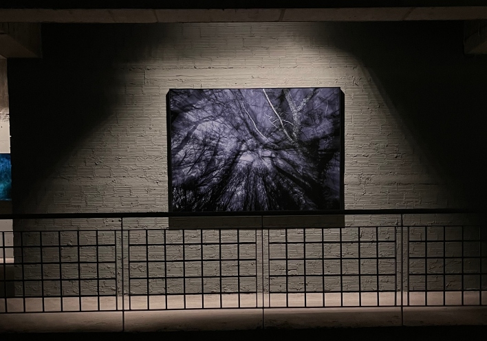 Επίσκεψη στην έκθεση του φωτογράφου Τάσου Βρεττού «Το αίνιγμα του Δάσους» στο κτίριο «Νόμπελ» στο Χαλάνδρι