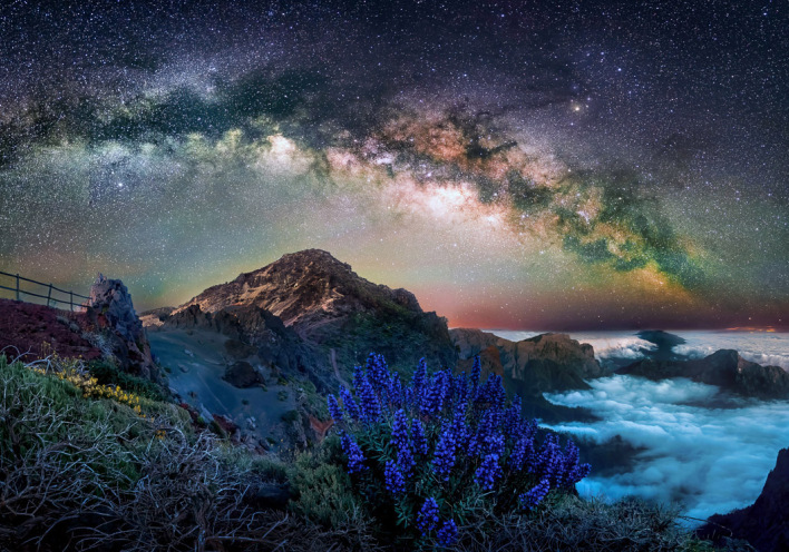 Garden Photographer of the Year 2023: Οι νικητές του διεθνούς διαγωνισμός φωτογραφίας κήπου, που διεξάγεται από το Royal Botanic Gardens του Λονδίνου.