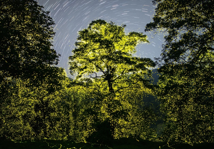 Sony World Photography Awards 2023: Ανακοινώθηκαν οι υποψηφιότητες και οι φιναλίστ στις 10 κατηγορίες του διαγωνισμού - Οι εντυπωσιακότερες εικόνες.