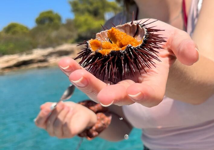 Ο χάρτης των γεύσεων