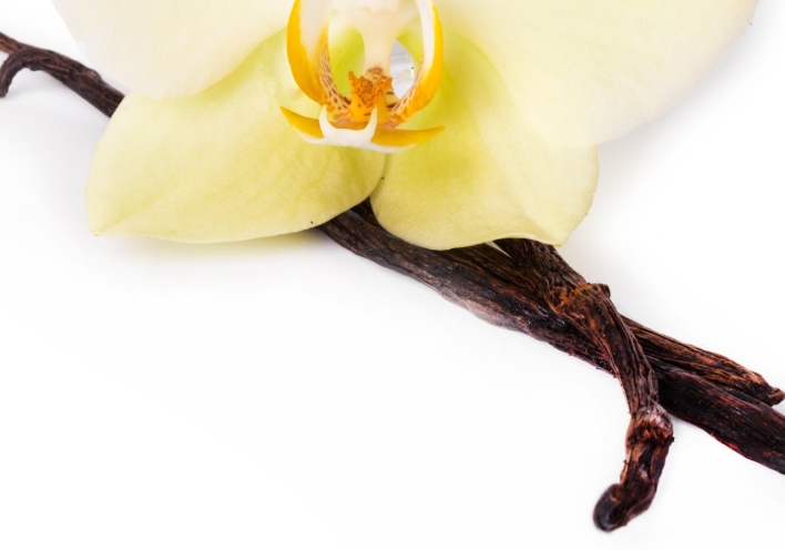 Μίξερ-Στέλιος Παρλιάρος: 12 συνταγές με βανίλια 