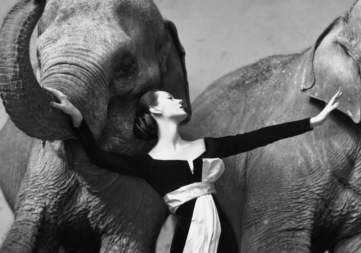 Richard Avedon: Ο φωτογράφος που άλλαξε τη φωτογραφία μόδας και διασημοτήτων