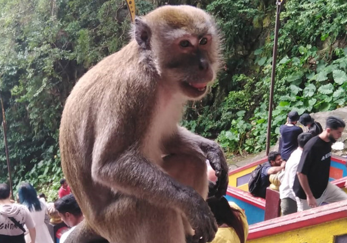 Μαλαισία: Κουάλα Λουμπούρ