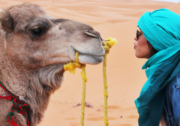 Ελεύθερος ταξιδιώτης