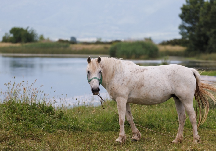Οικοτουριστικοί θησαυροί της Ελλάδας: Ταξίδεψε σε 7 παραδεισένιους προορισμούς