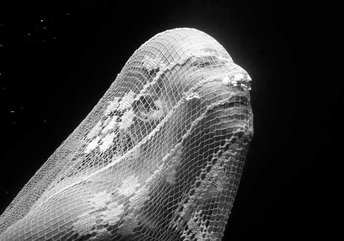 Ο υποβρύχιος κόσμος της Ρενέ Ρεβάχ  