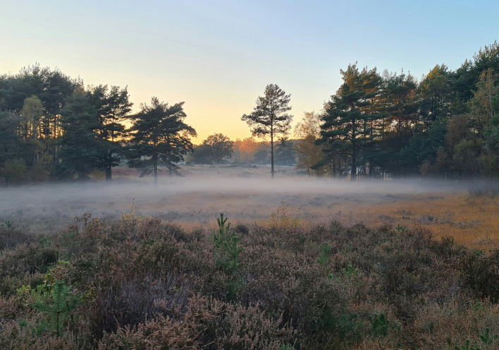 Η εξοχή της Αγγλίας δεν έχει καμία σχέση με τις εξοχές που ξέρουμε