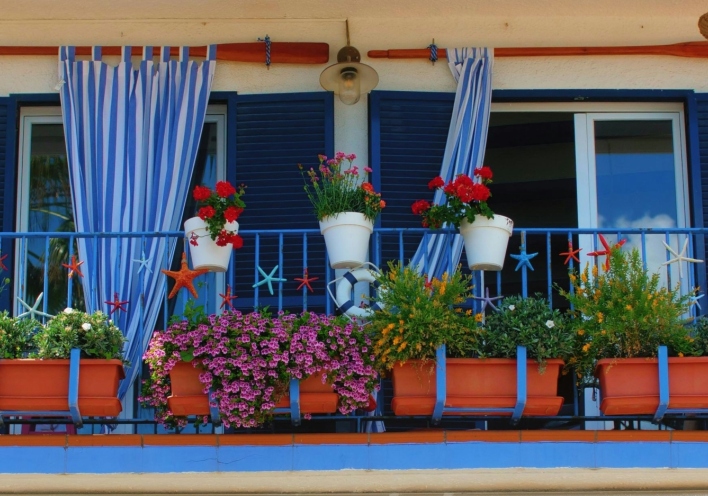 8 δημοφιλή φυτά για να βάλετε την Άνοιξη στο μπαλκόνι σας	