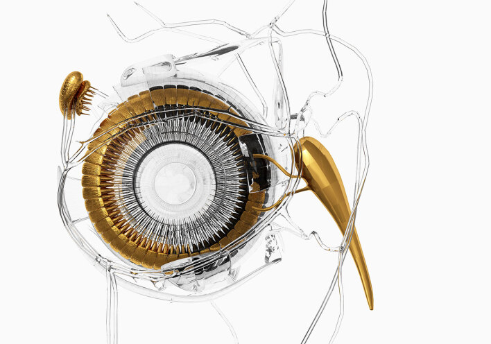 Κώστας Πnγαδάς: Θα ήθελα τα έργα µου να «θεραπεύουν την ανθρώπινη ψυχή»