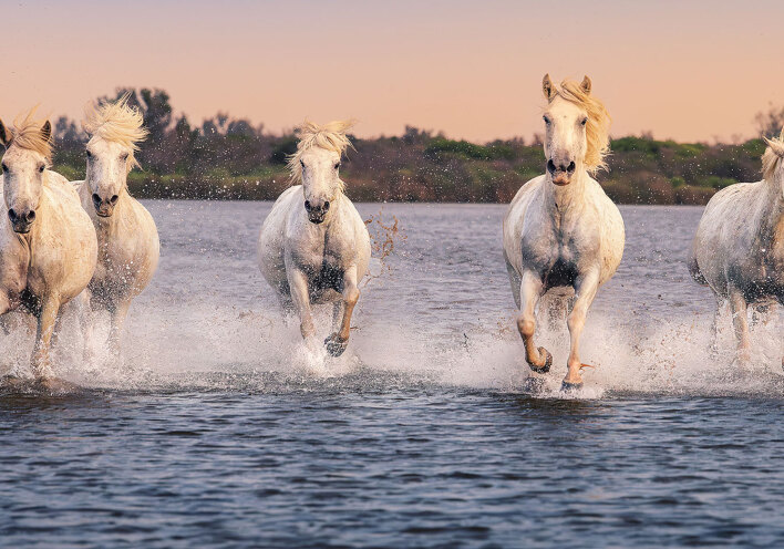 Ένα φωτογραφικό ταξίδι στη Νότια Γαλλία μέσα από τη ματιά του Γιάννη Λάριου