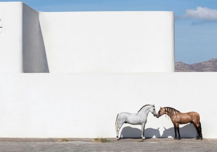 Ο φωτογράφος Γιώργος Κορδάκης και η αβίαστη ματιά στην ομορφιά