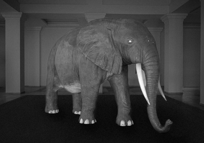 Δημήτρης Μυτάς: Ο Ελέφαντας είναι το βάρος που δεν λέγεται