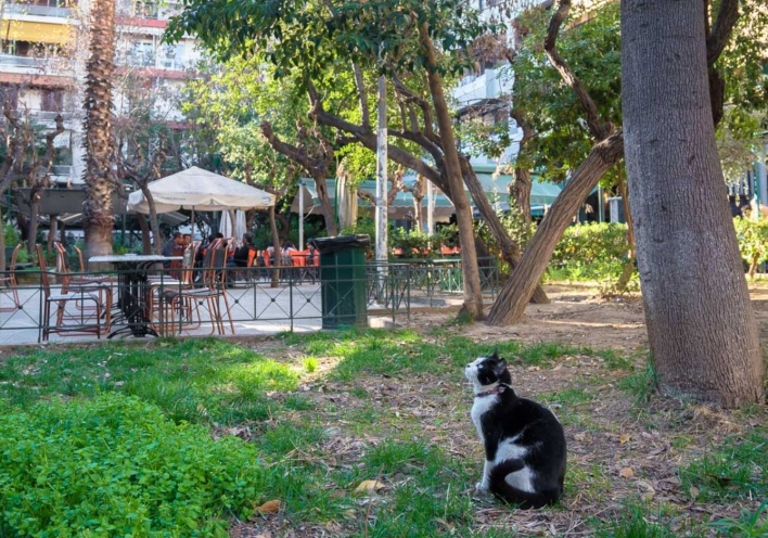 ΑΦΙΕΡΩΜΑ ΠΑΓΚΡΑΤΙ