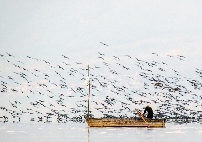 Kerkini Wetlands Photo Awards
