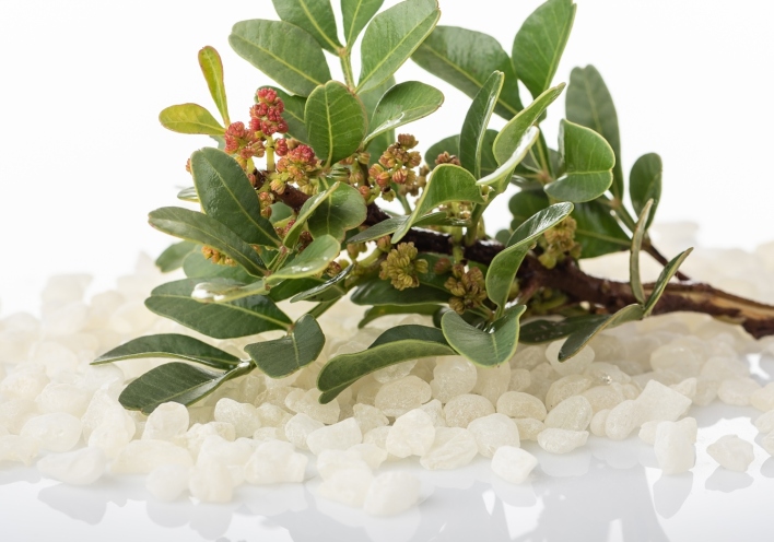 Μίξερ από τον Στέλιο Παρλιάρο: 10 συνταγές με μαστίχα Χίου