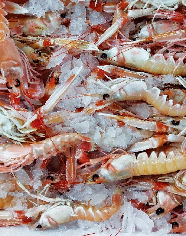 Ψ…art με θέα