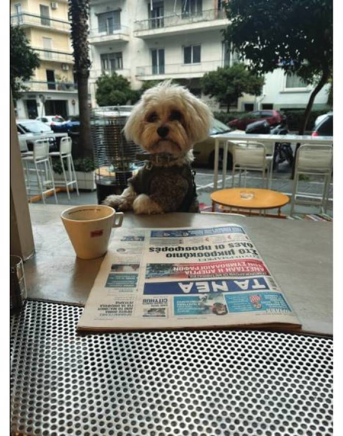 Boost:Το all day στέκι σου στου Ζωγράφου